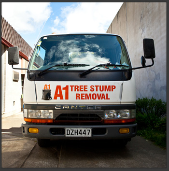 A1 Tree Stump Removal Contact