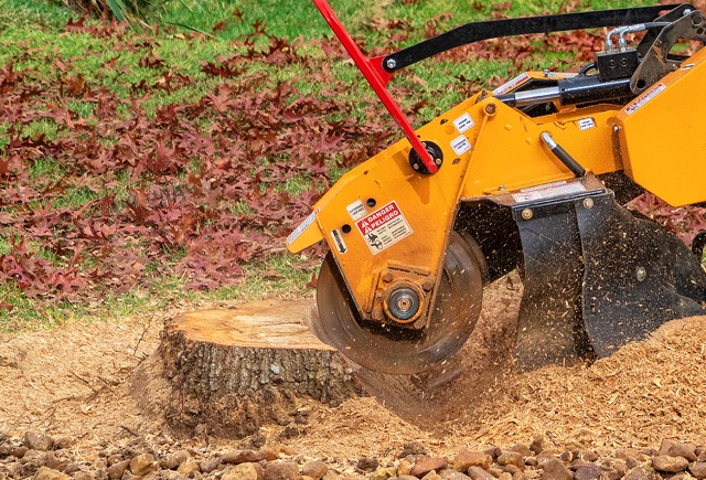 Stump Removal Christchurch